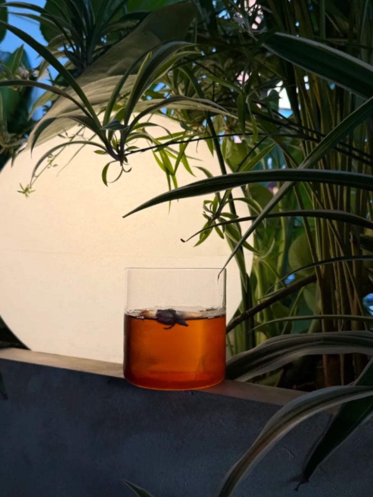 Negroni della Serenità